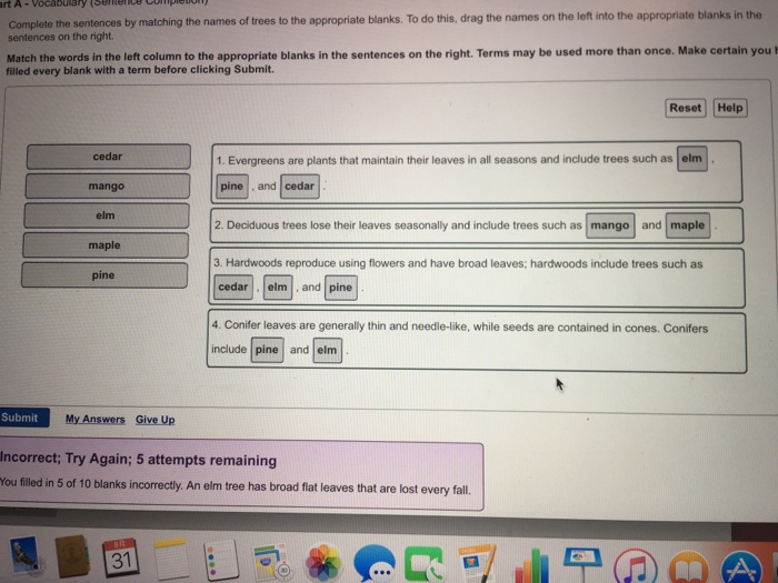 Solved Complete the sentences by matching the names of trees | Chegg.com