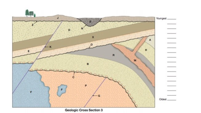Solved 1.Oldest to youngest geological cross section total | Chegg.com