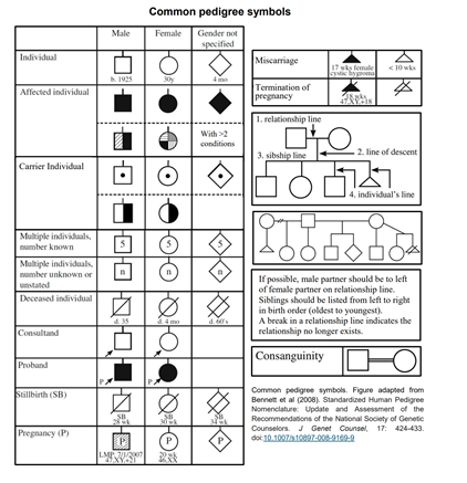 6. Genotype the pedigree given to you. o Use the | Chegg.com