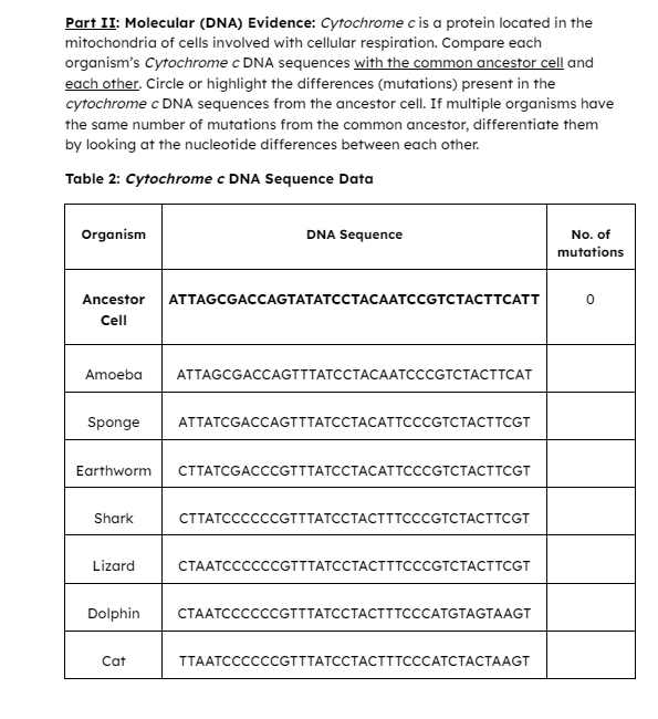 Solved Part II: Molecular (DNA) Evidence: Cytochrome c is a | Chegg.com