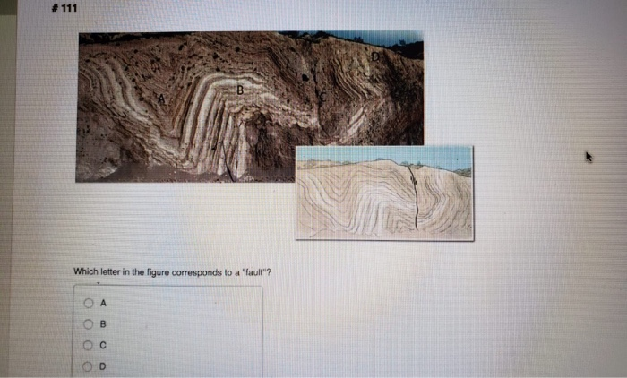 Solved #143 On the diagram below, which letter refors to a | Chegg.com