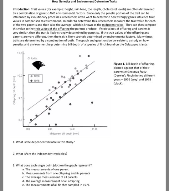 Solved How Genetics and Environment Determine Traits | Chegg.com