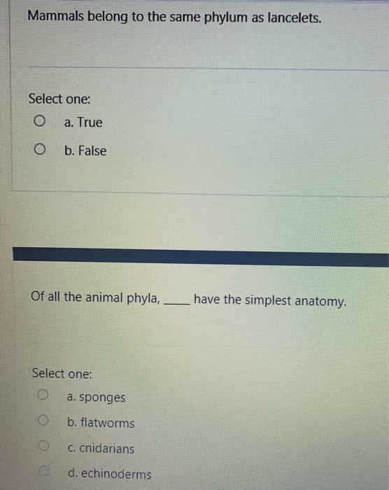 Solved How Are Humans And Chimpanzees Related Select One O Chegg Solved How Are Humans And Chimpanzees Related Select One O Chegg