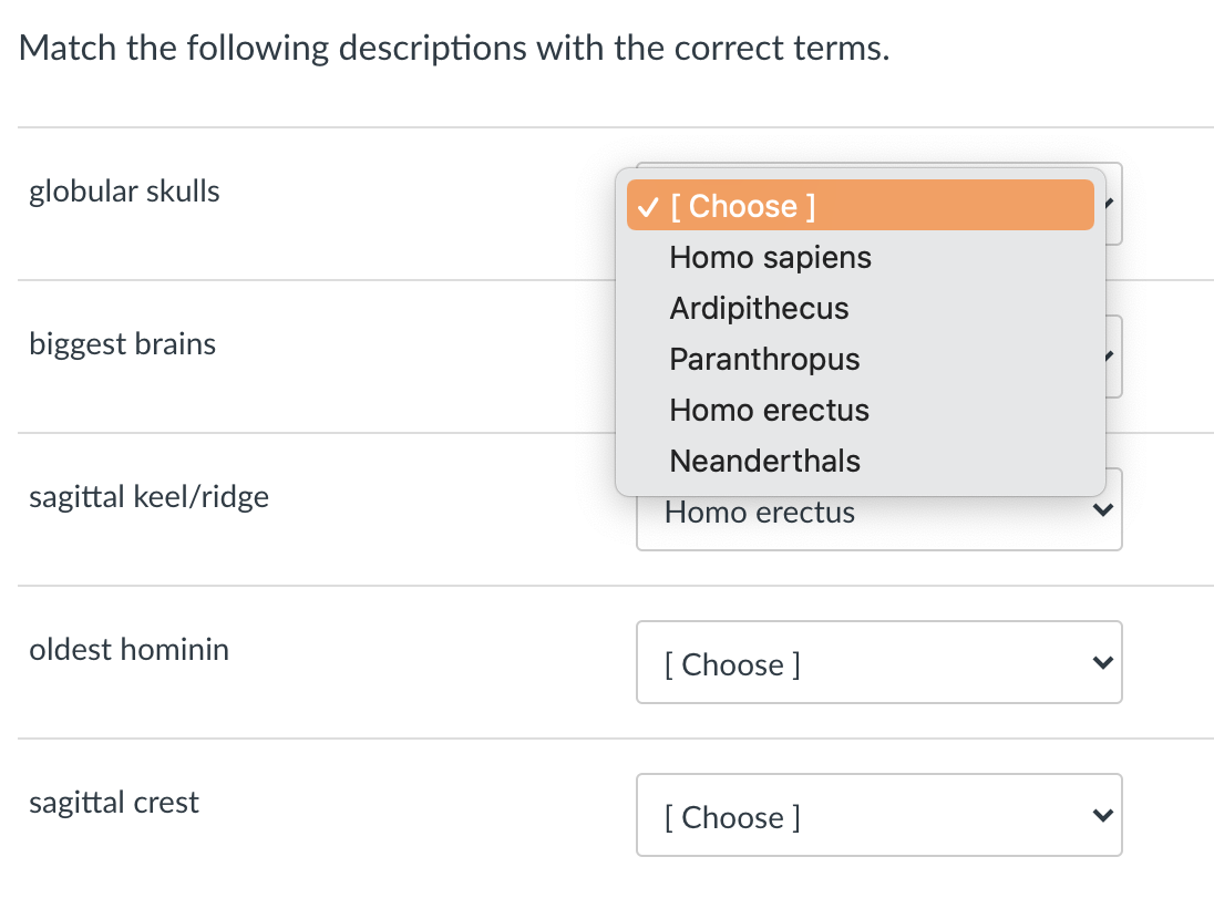 Solved Match the following descriptions with the correct | Chegg.com