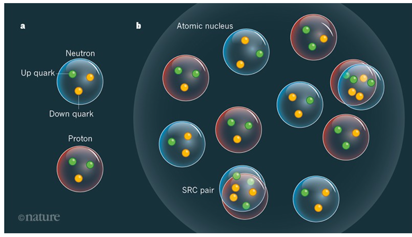 Solved The image illustrates how protons and neutrons make a | Chegg.com