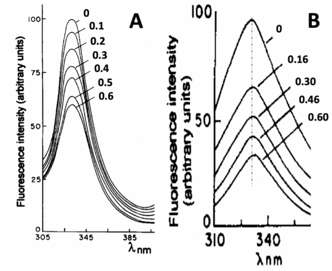 Solved The fluorescence of a protein containing 4 tryptophan | Chegg.com