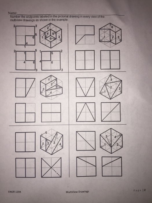 Solved Number the endpoints labeled in the pictorial drawing | Chegg.com