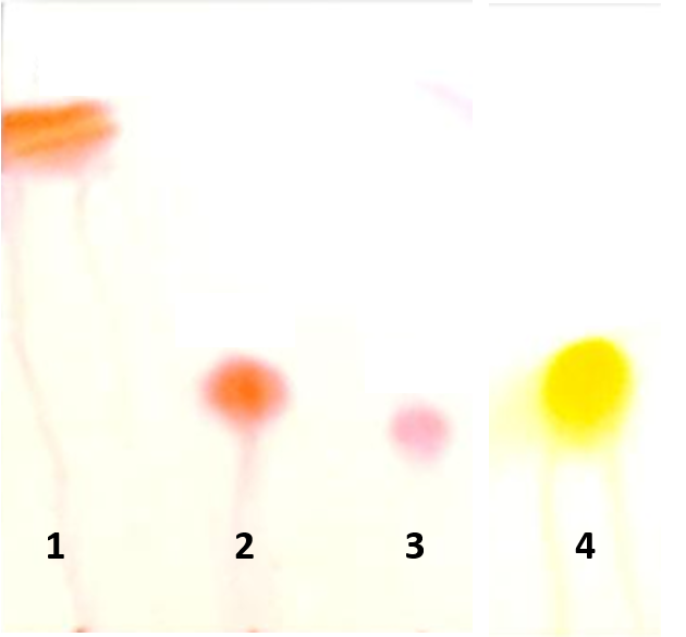 Solved Identify amino acids in the following TLC plates