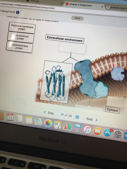 Solved Label each protein by its type of attachment. Types