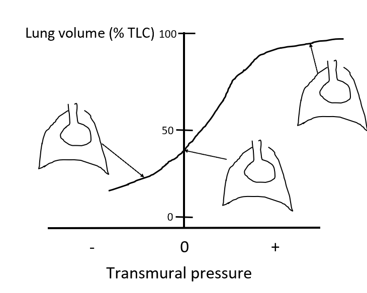 Solved The graph below is the static pressure-volume curve | Chegg.com