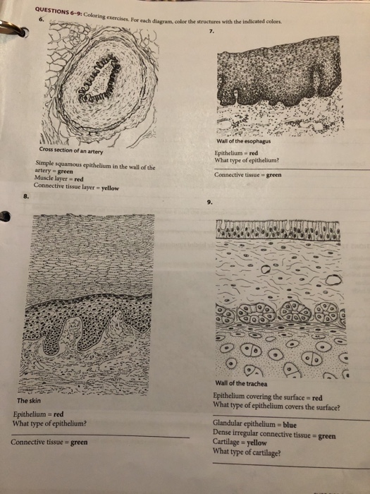Solved QUESTIONS 6-9: Coloring exercises. 6, For each | Chegg.com