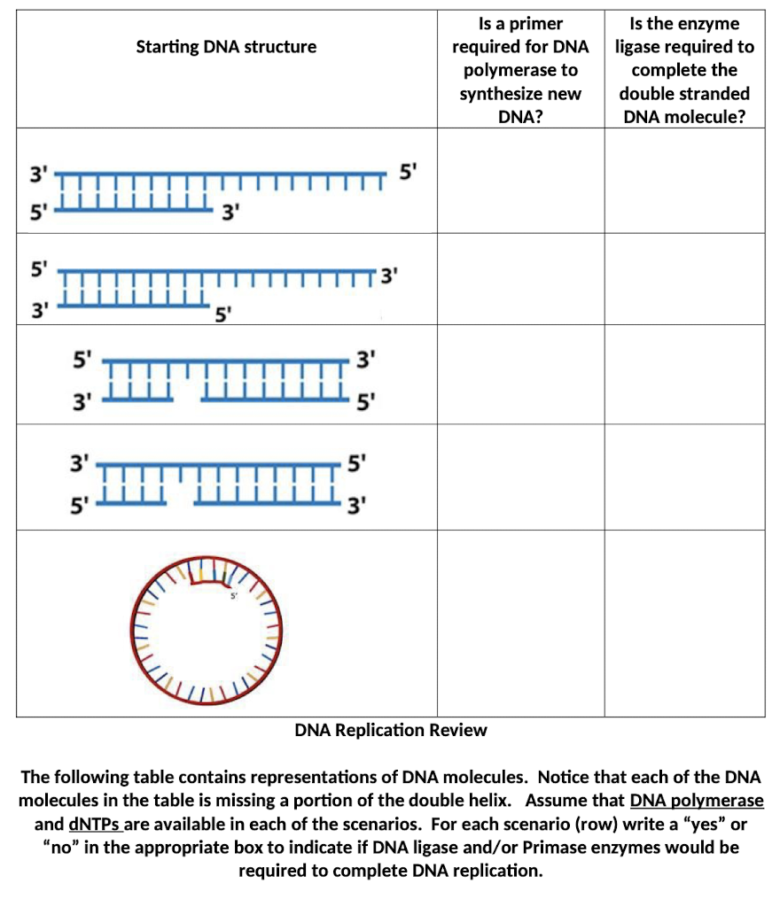 Solved The Following Table Contains Representations Of DNA | Chegg.com