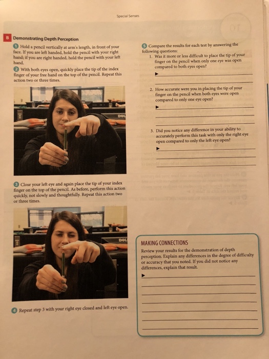 Solved Special Senses B Demonstrating Depth Perception 9 | Chegg.com