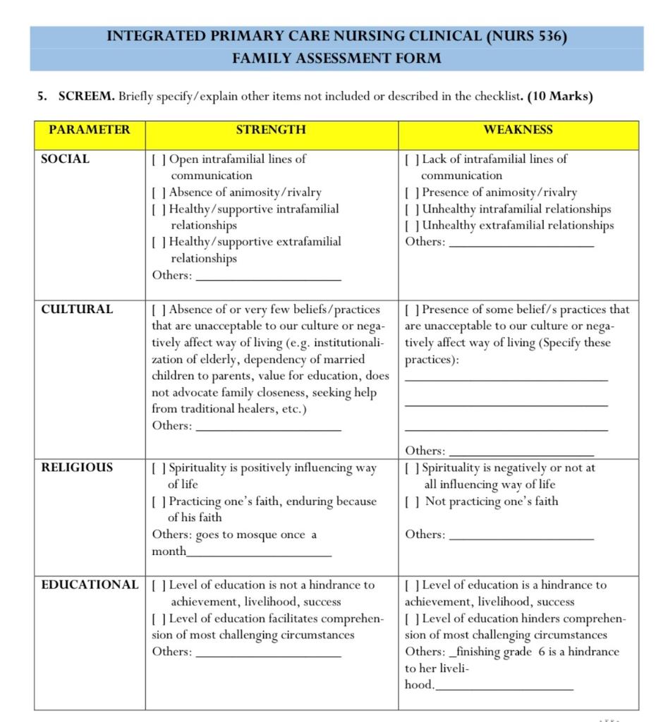 INTEGRATED PRIMARY CARE NURSING CLINICAL (NURS 536)