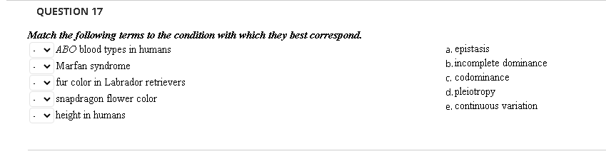 Solved QUESTION 17 Match The Following Terms To The | Chegg.com