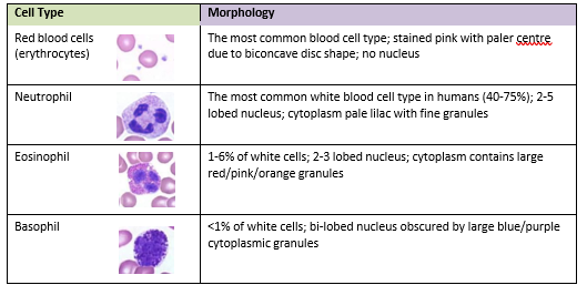 Briefly Compare The Data You Obtained For Your 