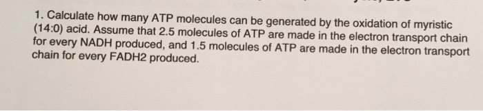 Solved 1. Calculate how many ATP molecules can be generated | Chegg.com