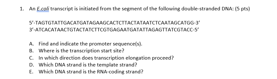 Solved 1. An E.coli transcript is initiated from the segment | Chegg.com