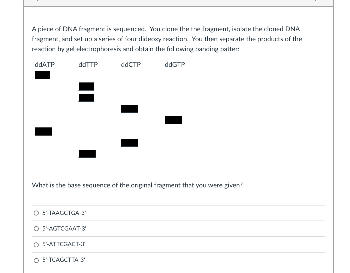 Solved A piece of DNA fragment is sequenced. You clone the | Chegg.com
