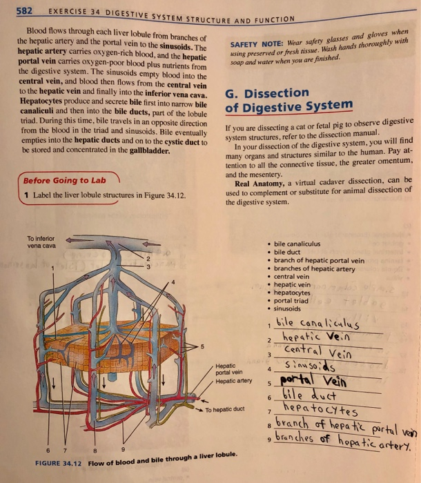 Solved 14. Trace bile from it structures in order, using