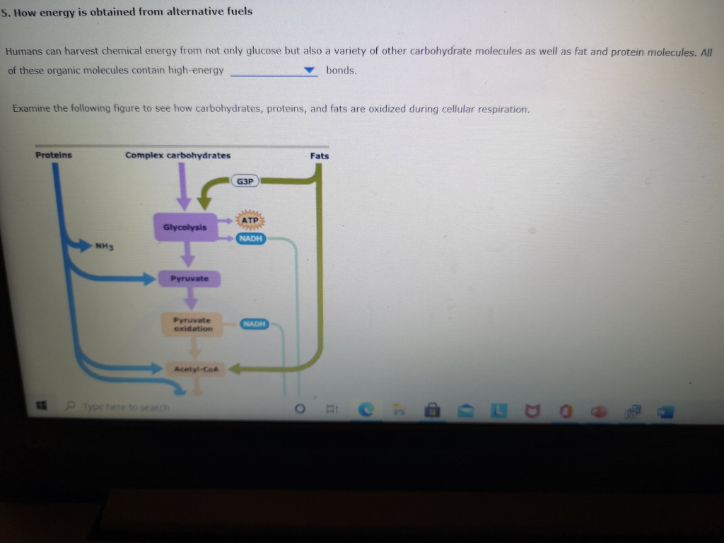 Solved 5. How energy is obtained from alternative fuels | Chegg.com