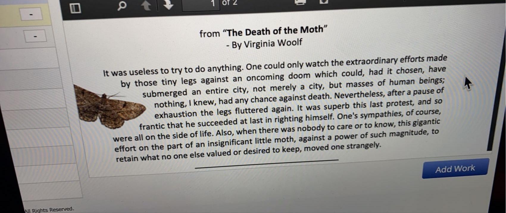 virginia woolf the death of the moth rhetorical analysis