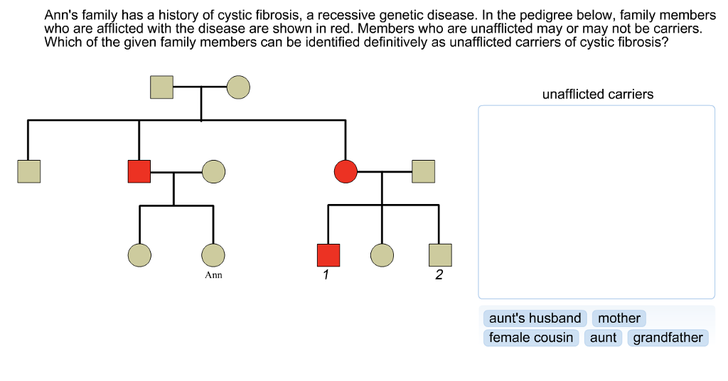 Solved Ann's family has a history of cystic fibrosis, a | Chegg.com