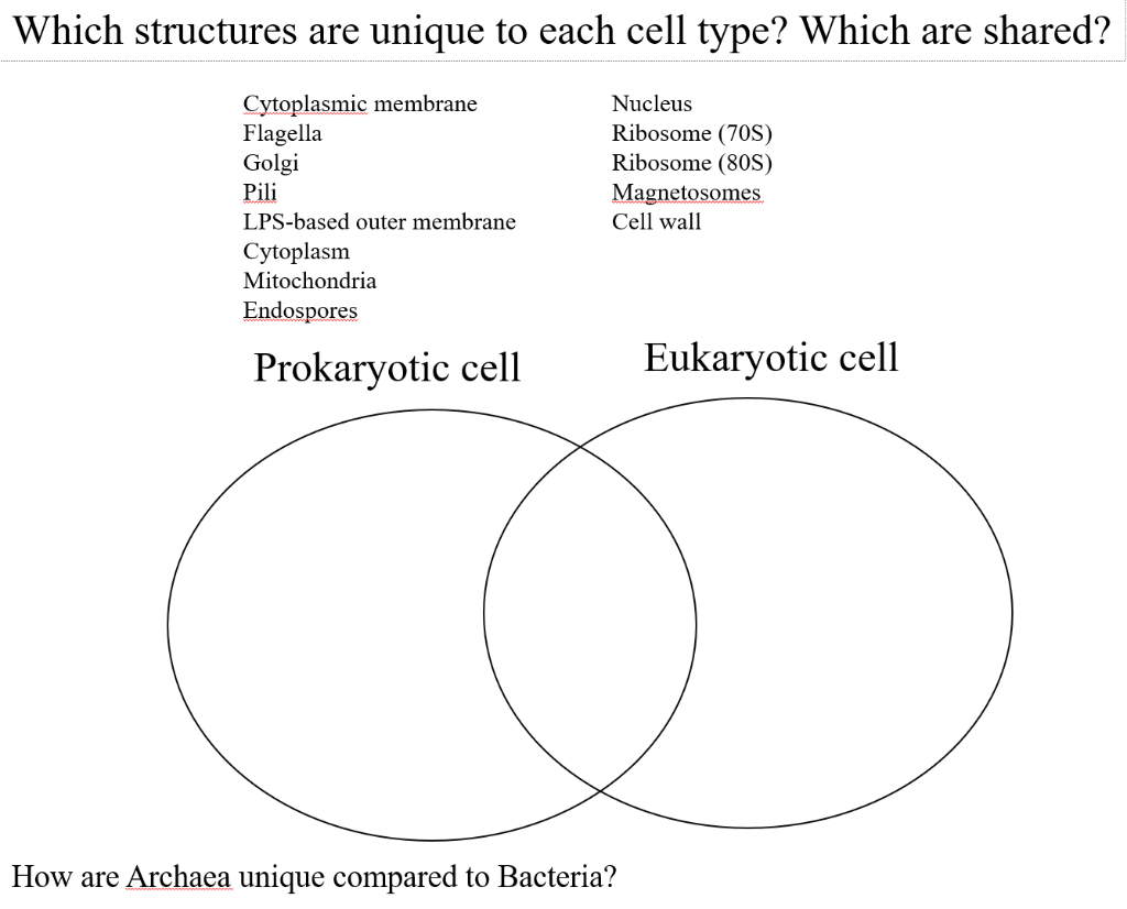 Solved Which structures are unique to each cell type? Which | Chegg.com