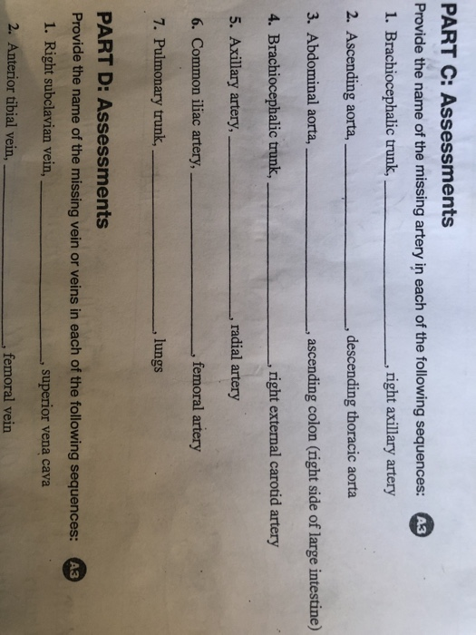 Solved PART C Assessments A3 Provide the name of the Chegg