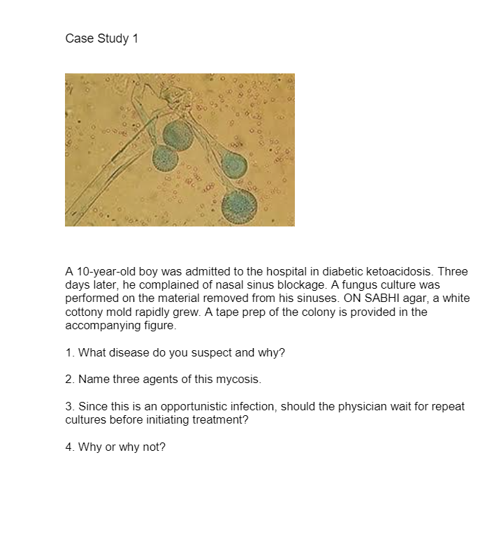 Solved Case Study 1 A 10-year-old boy was admitted to the | Chegg.com