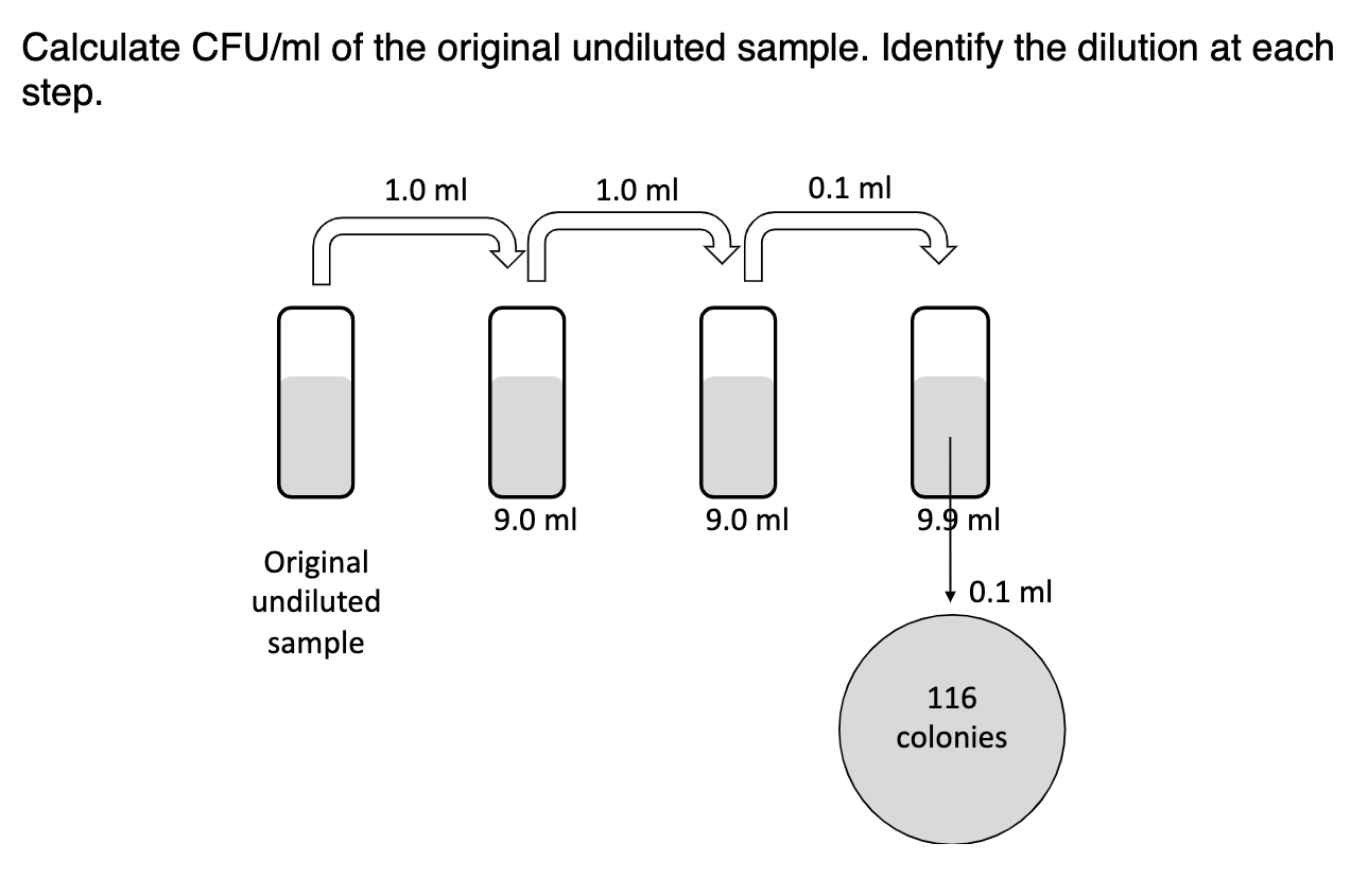 Solved Calculate CFU/ml of the original undiluted sample.