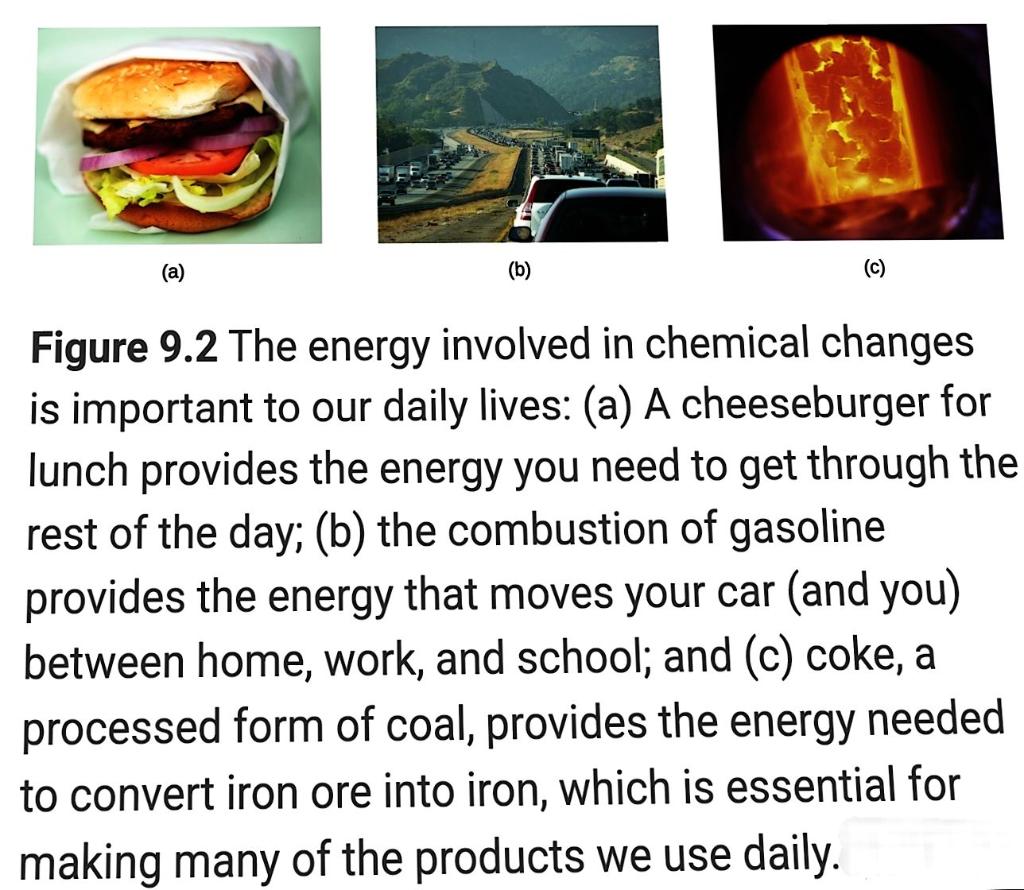 (a)
(b)
(c)
Figure 9.2 The energy involved in chemical changes is important to our daily lives: (a) A cheeseburger for lunch 