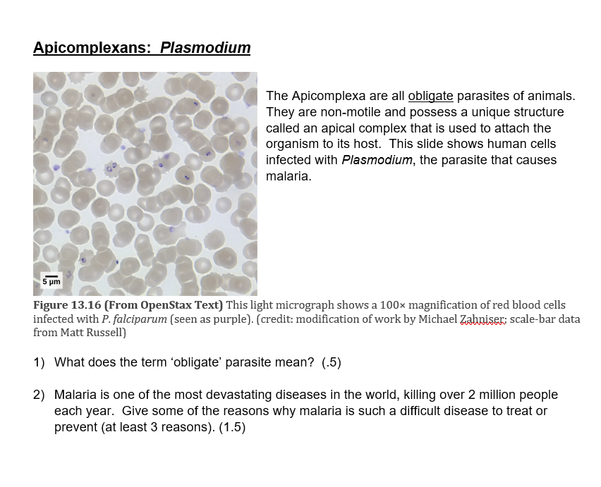 Solved Apicomplexans: Plasmodium The Apicomplexa are all 