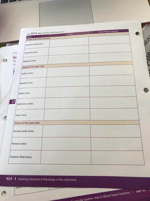 Solved PRELAB EXERCISES PreLab Exercise 171 Key Terms