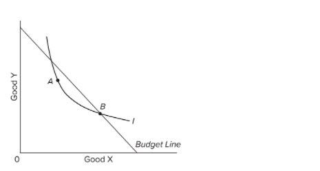 The indifference curve and budget line (considering | Chegg.com