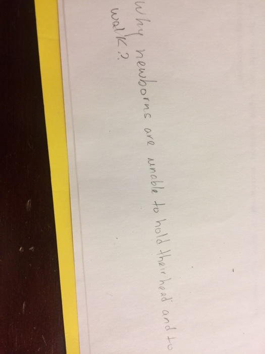 Solved Why newborns are unable to hold their head and to