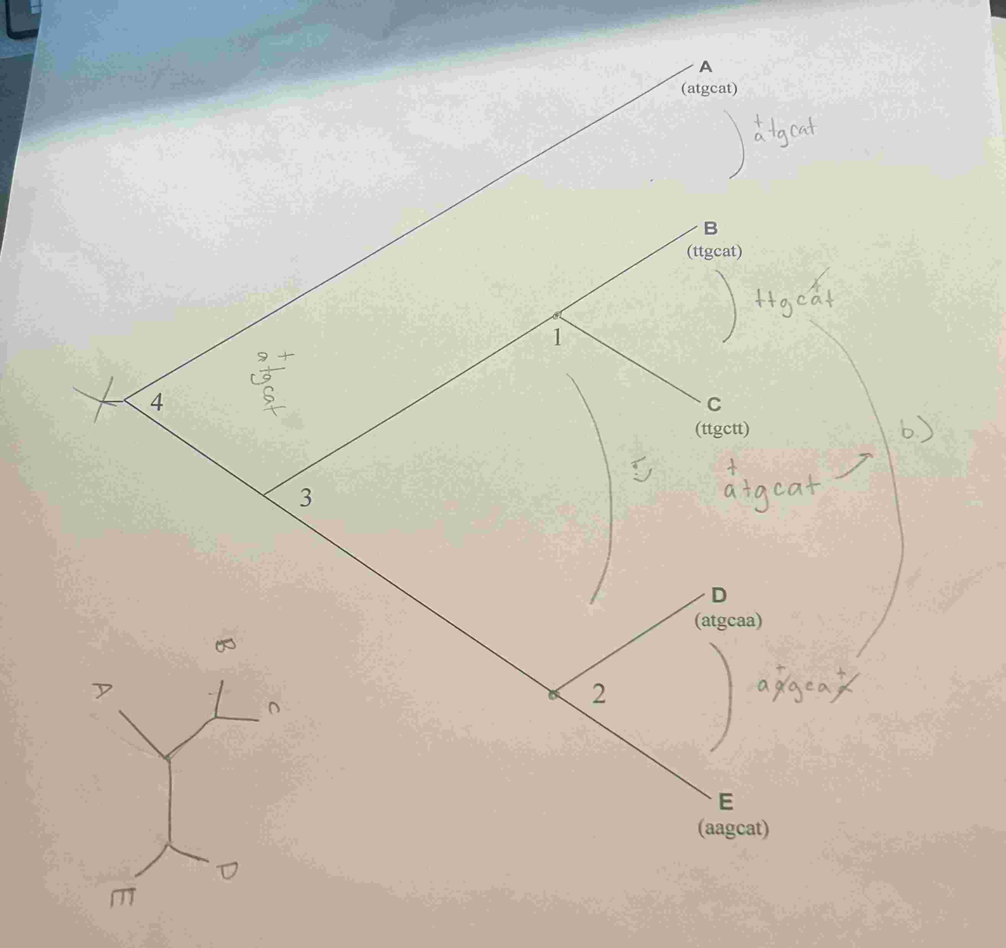 Solved by an EXPERT e. ﻿Is the tree in the figure the same one produced ...
