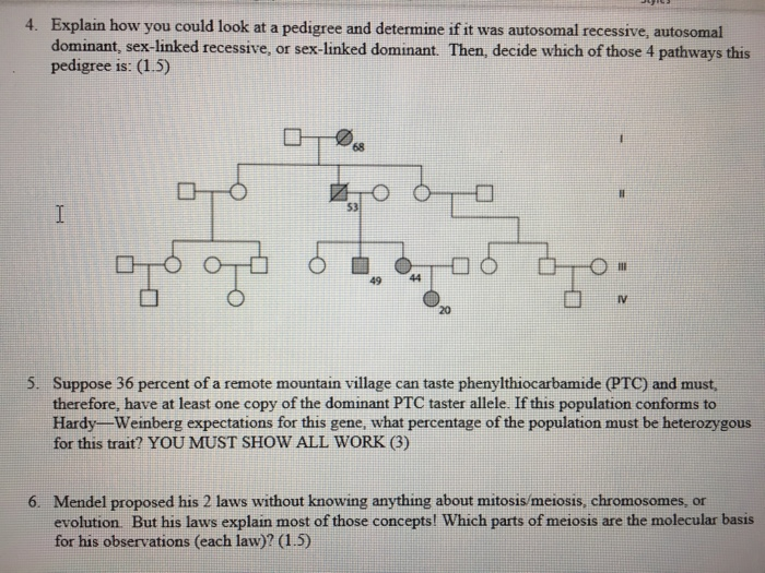 Solved Section 2: Problems You may complete the following | Chegg.com