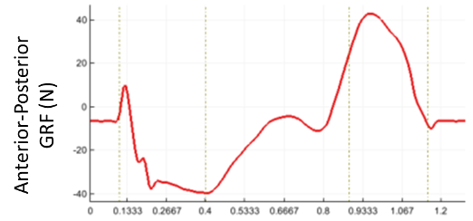 The following graph shows the AP GRF from the stance | Chegg.com