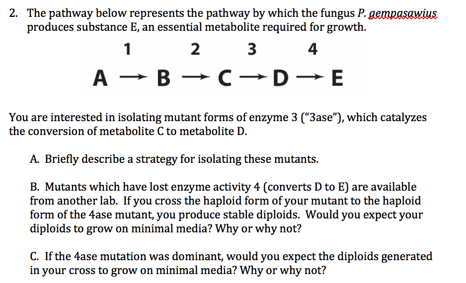 2. The pathway below represents the pathway by which | Chegg.com