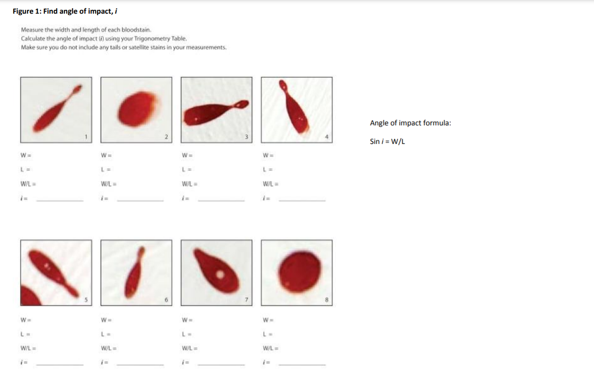 Solved PRACTICAL Blood Spatter Analysis (ASISTM Project | Chegg.com