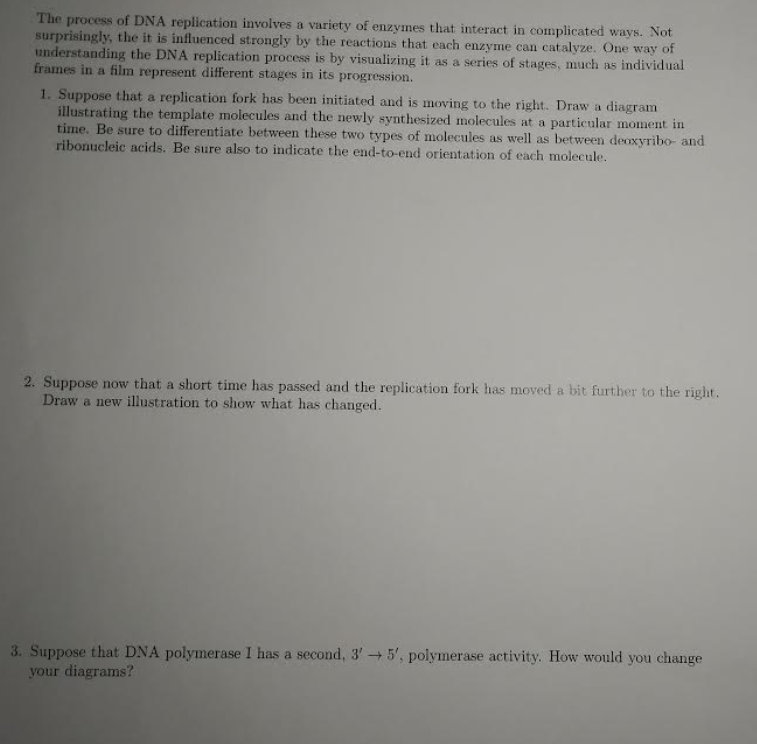 Solved The process of DNA replication involves a variety of | Chegg.com