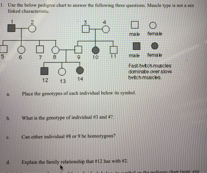 Solved 1. Use the below pedigree chart to answer the | Chegg.com
