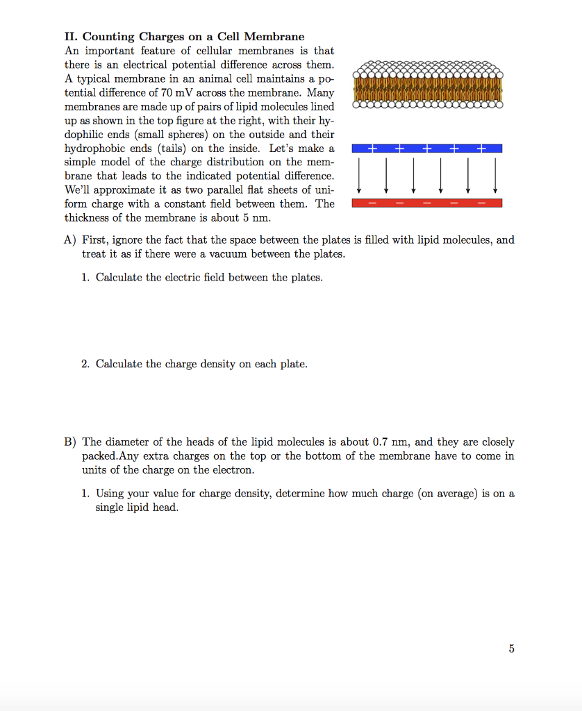 Solved PPPPPSPPSP COOOOO II. Counting Charges on a Cell | Chegg.com