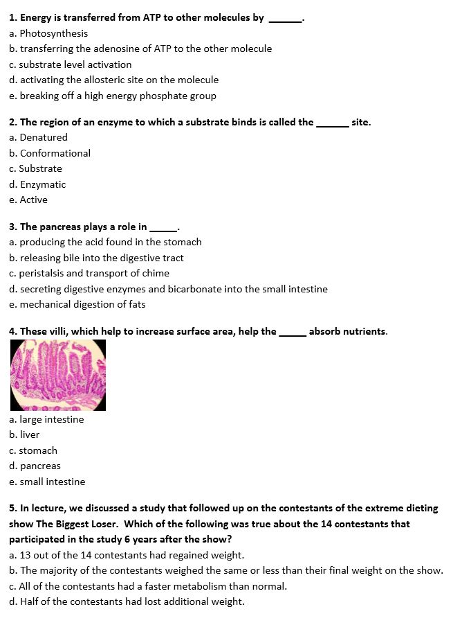 Solved 1. Energy is transferred from ATP to other molecules