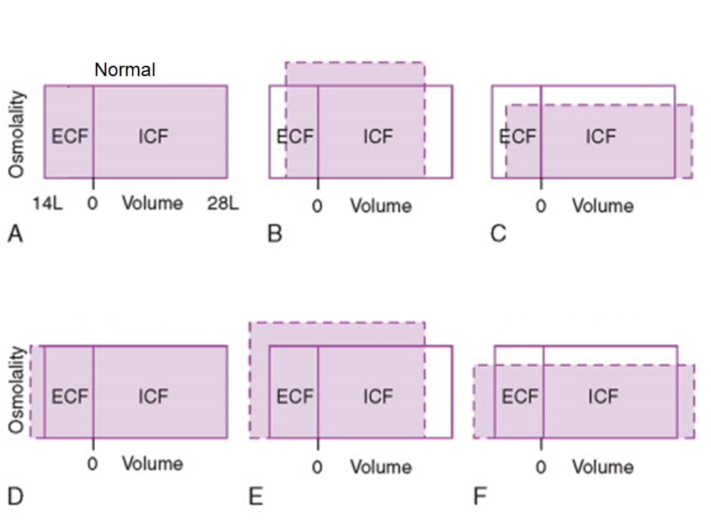 Solved What Is The Total Osmolarity Of The Icf What I vrogue.co