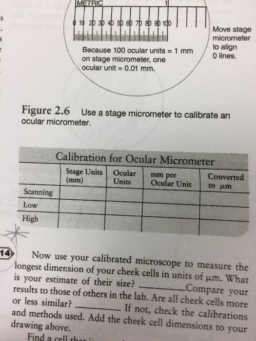 Biology Archive October 05, 2017