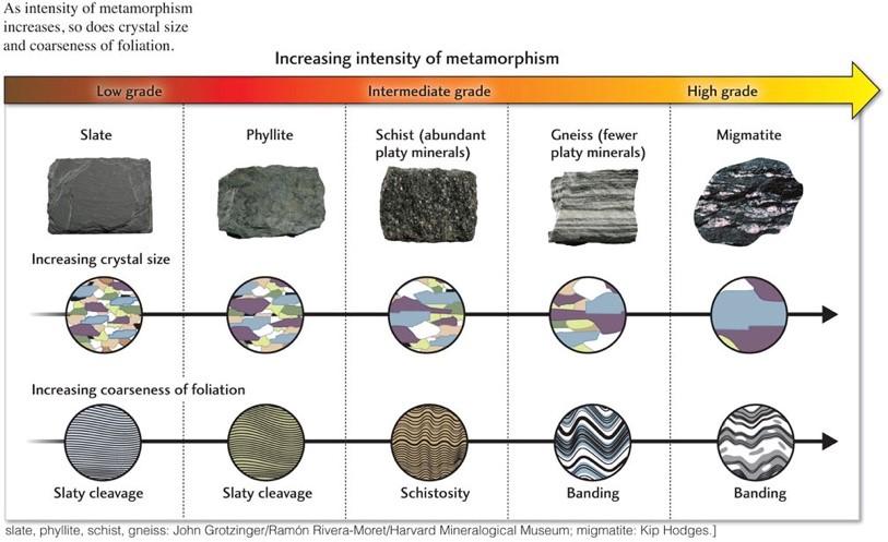 Solved Phyllites are fine grained metamorphic rocks, often | Chegg.com