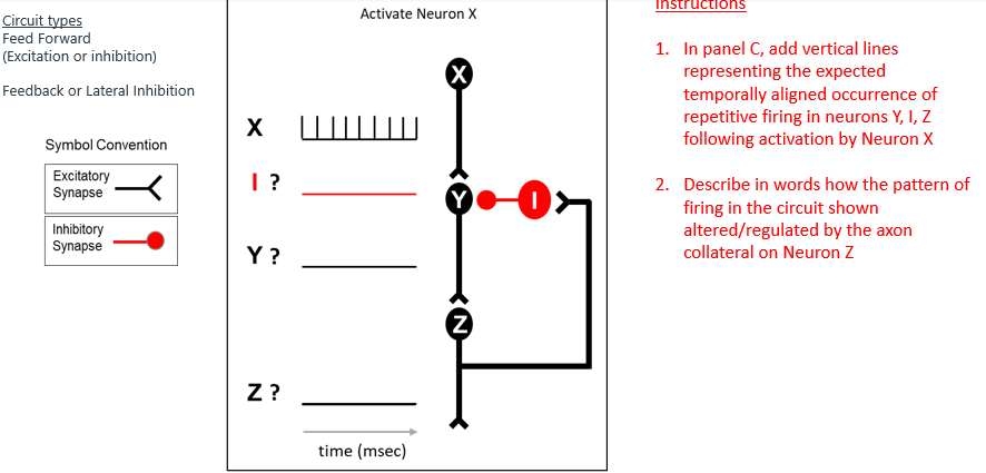 What Is A Feed Forward Excitation