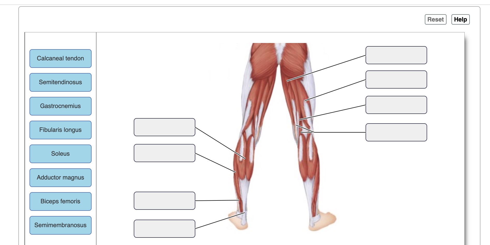Solved Drag the appropriate labels to their respective | Chegg.com